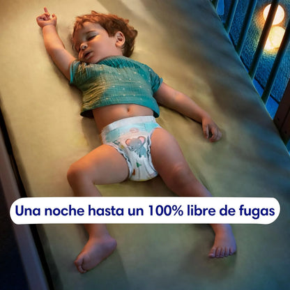 Dodot Pañales Bebé-Seco, Talla 7 (15+ kg), 120 Pañales, Una Noche Hasta Un 100% Libre De Fugas, Pack mensual