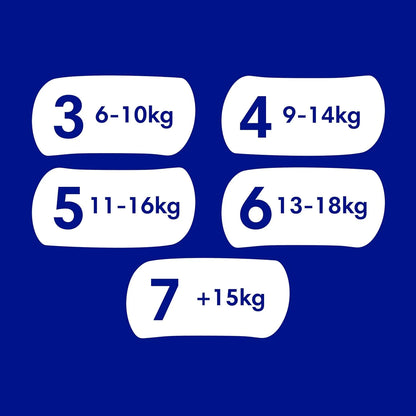 Dodot Pañales Bebé-Seco, Talla 6 (13-18 kg), 132 Pañales + Regalo de 1 Pack de 10 Toallitas Aqua Pure 99% Agua, Una Noche Hasta Un 100% Libre De Fugas, Pack mensual